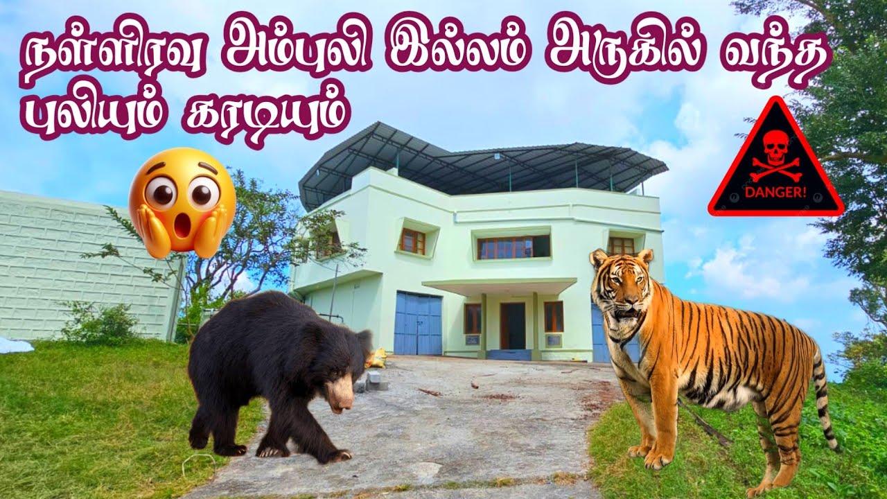 😱Deadly Night Stay in Ambuli Illam, Topslip | Jolly Trip