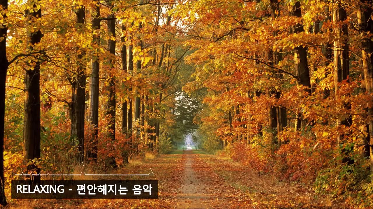 가을에 듣기 좋은 세미클래식모음 BEST 편안한 음악클래식 음악 Relaxing Music
