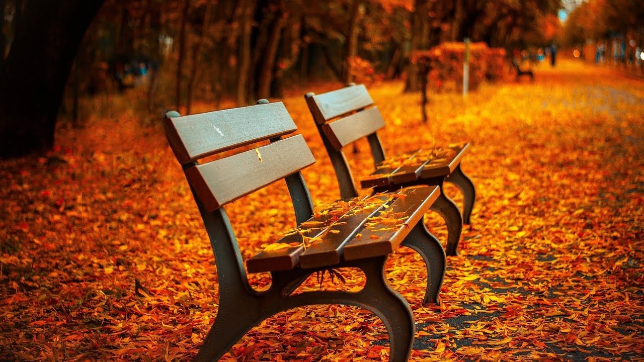 Paysage magnifique en Automne avec Musique relaxante 🎵 Relaxation nature 4k🍀