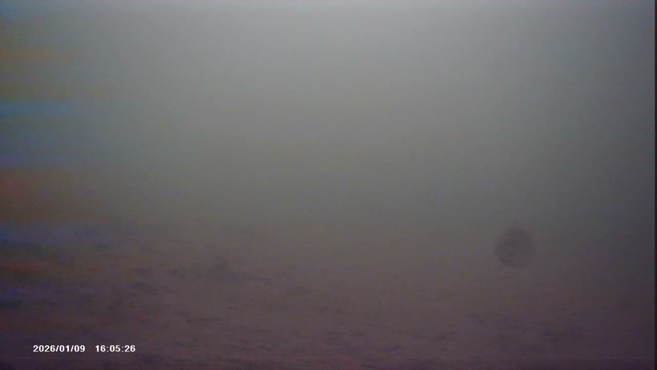 Largemouth bass coming in like a TORPEDO or maybe like a HEAT SEEKING MISSILE