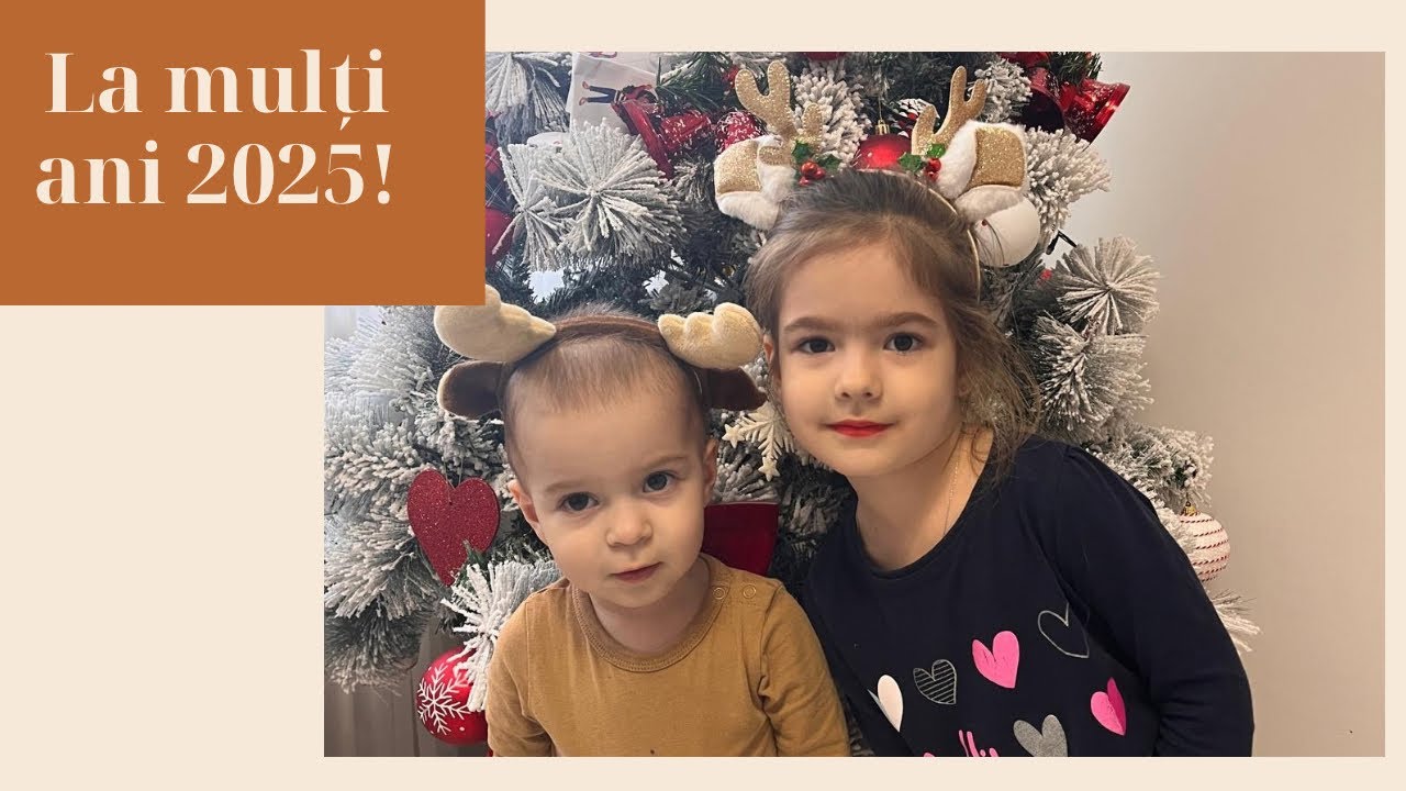 La mulți ani 2025! Retrospectivă anului 2024.