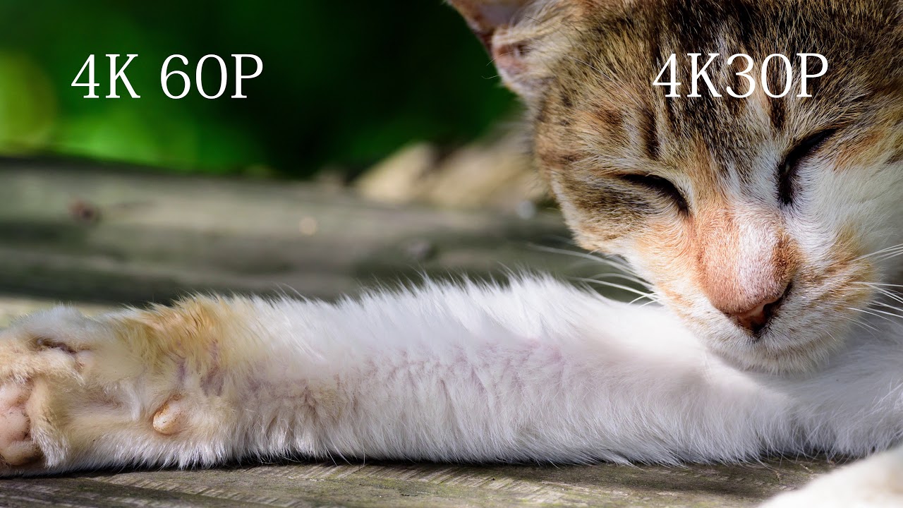 [TEST] 4K60P vs 4K30P