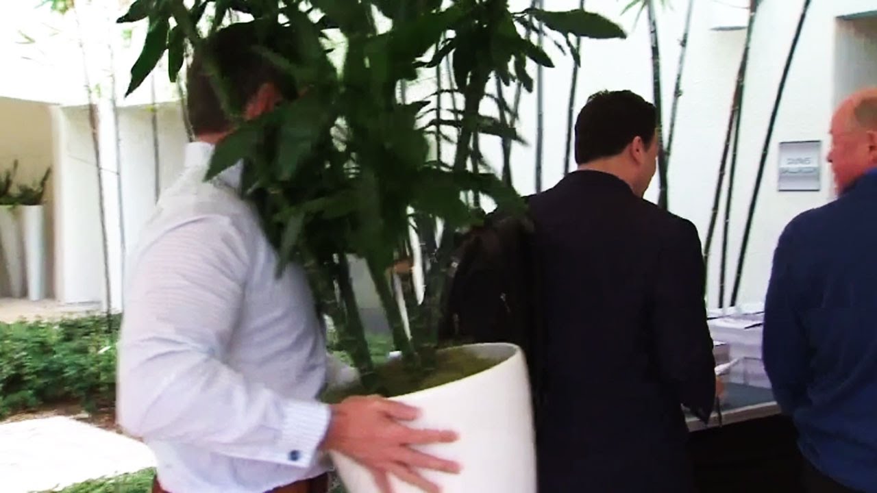 Gotta See It: Bergevin escapes media by hiding behind plant