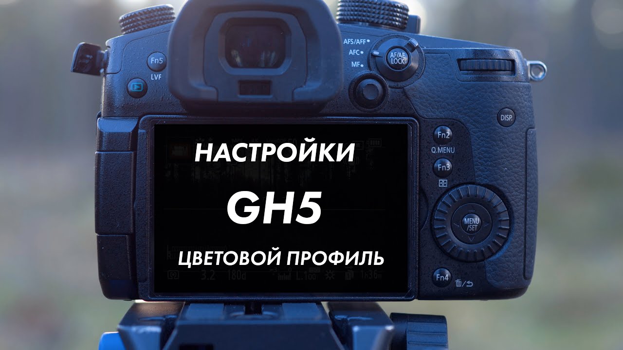 Panasonic GH5 | Настройка цветового профиля с примерами
