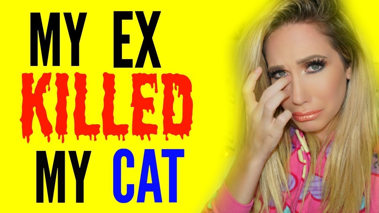 MY EX KILLED MY CAT (NOT CLICKBAIT)