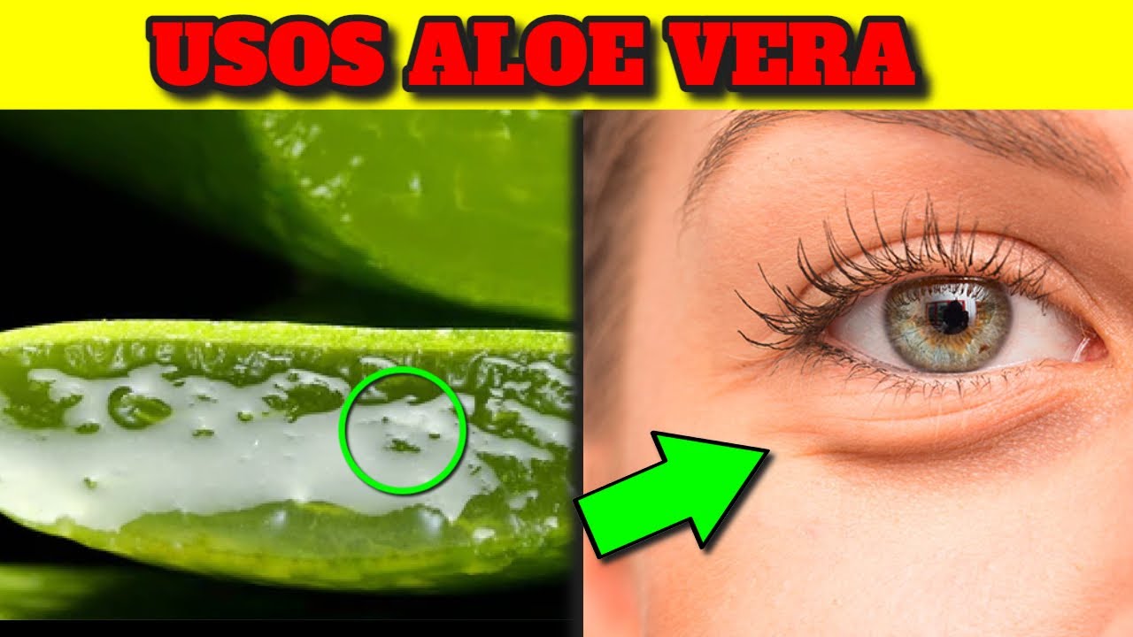 Usa aloe vera todos los días y mira que te sucederá