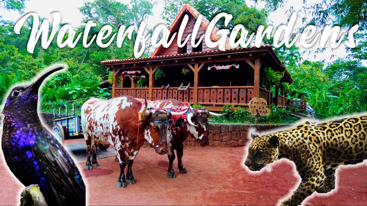Un Paseo por La Paz Waterfall Gardens: Cascadas, Fauna y Flora 🌎