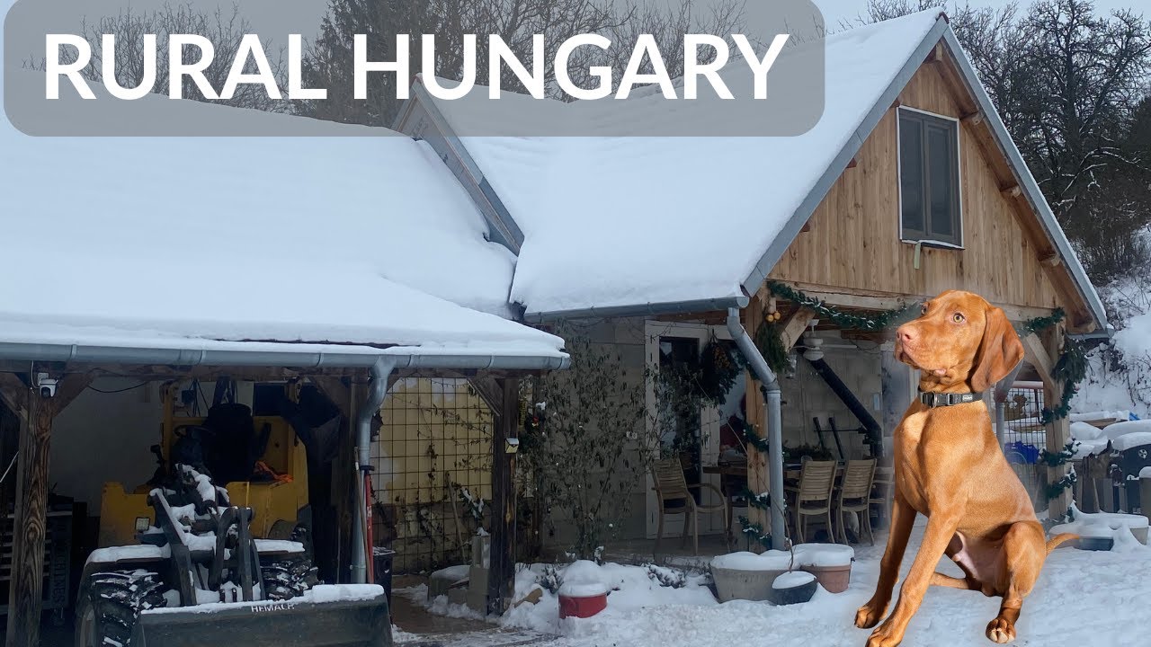 Life in Rural Hungary | Snow, Survival & Starting again  #vlog24