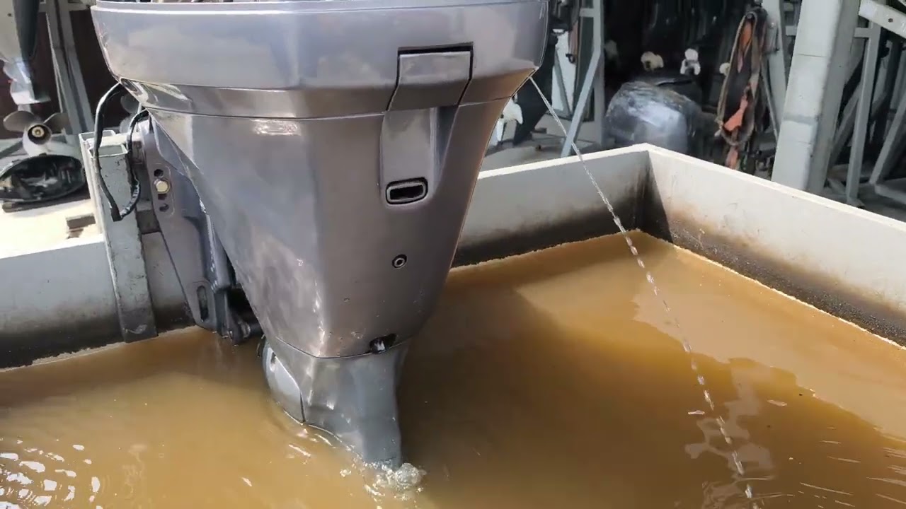 Запуск мотора Yamaha F100, 702200, Seamotors, Владивосток 