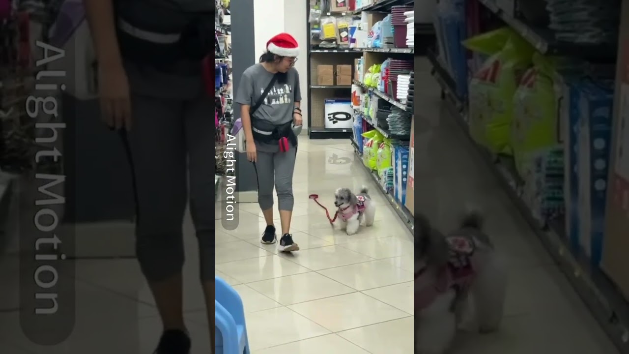 Practica de Acceso Público/Public Access Test Practice- Liliana y Arya Bárcenas