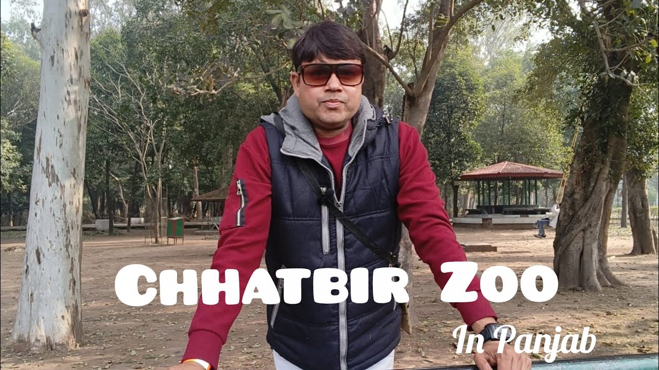 Chhatbir Zoo Tour