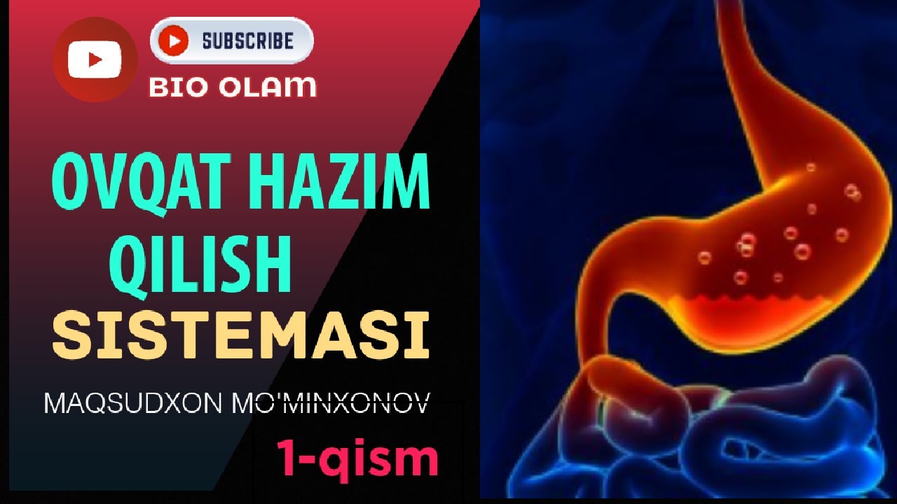 Ovqat hazm qilish sistemasi. (1-qism) | 