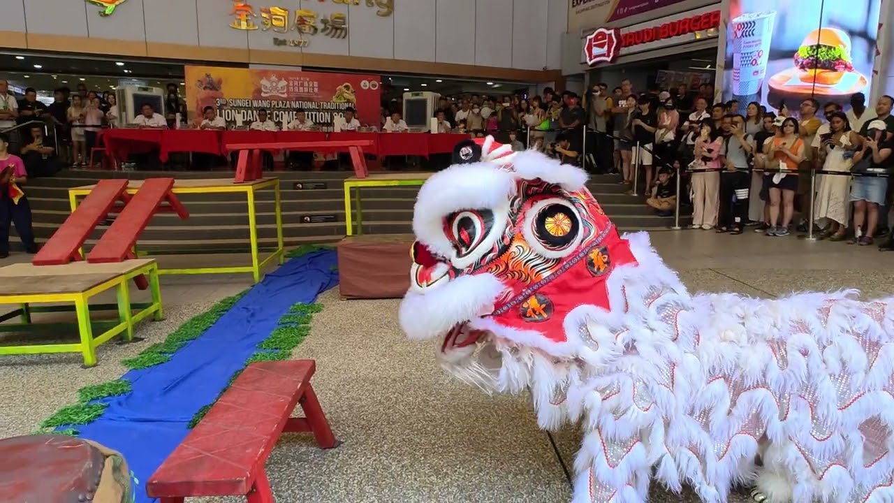 雪州祥藝文化龍獅團 Xiang Yi Culture and Sport Club @ 2024 金河广场传统舞狮比赛 3rd Traditional Lion Dance Championship