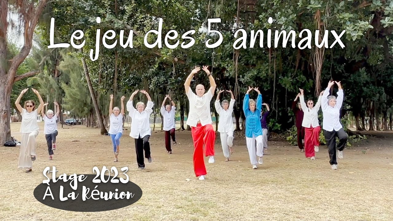Wu Qin Xi ou Qi Gong des 5 animaux - Stage 2023, île de La Réunion