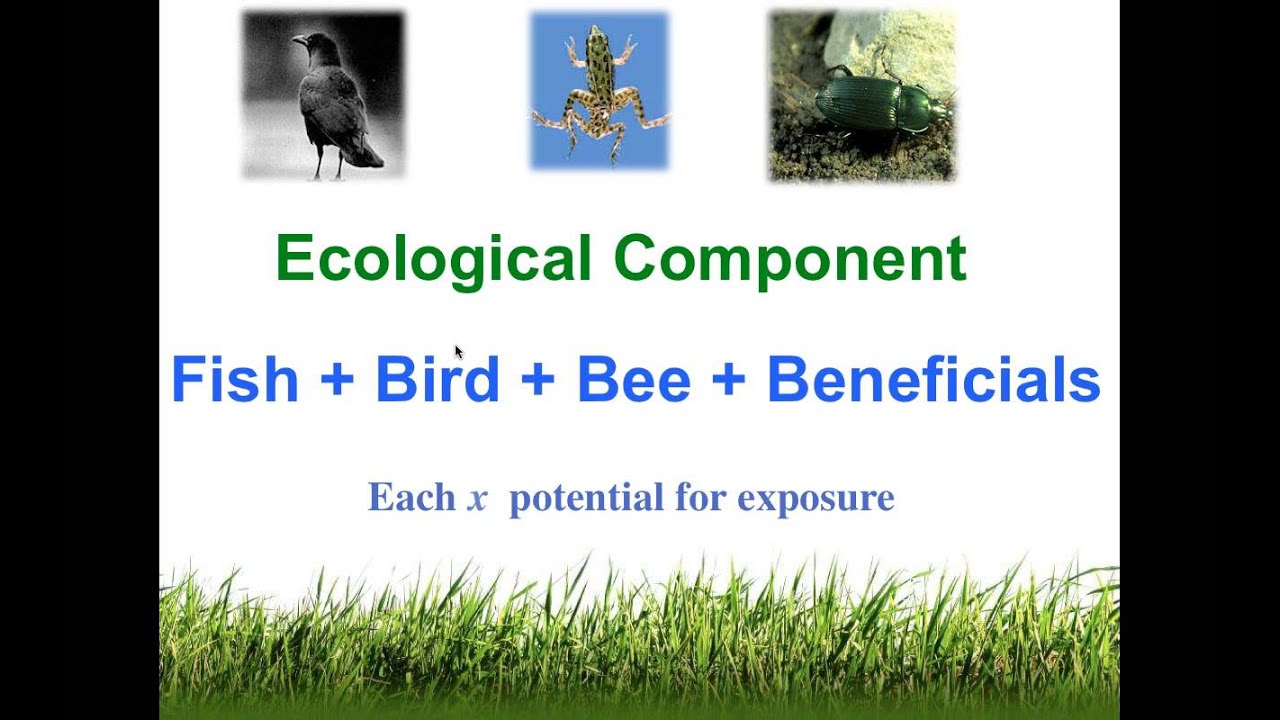 Environmental Impact Quotient: An Introduction