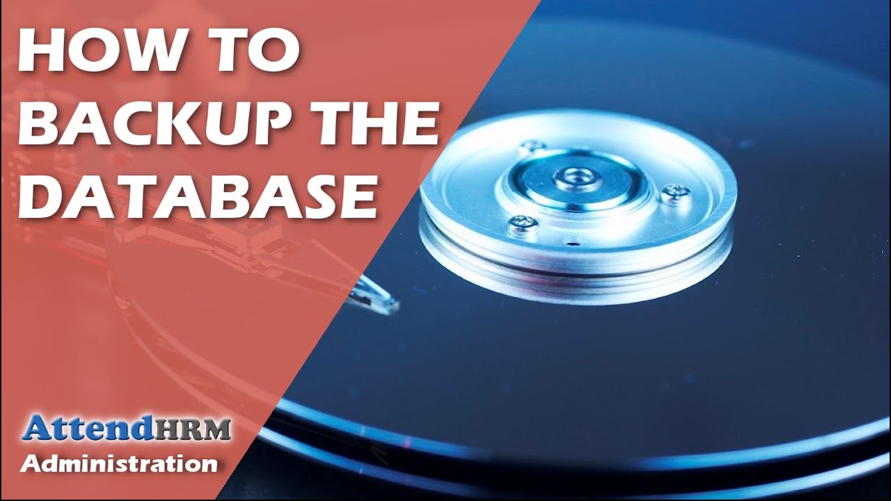 How to backup the database of Lenvica HRMS