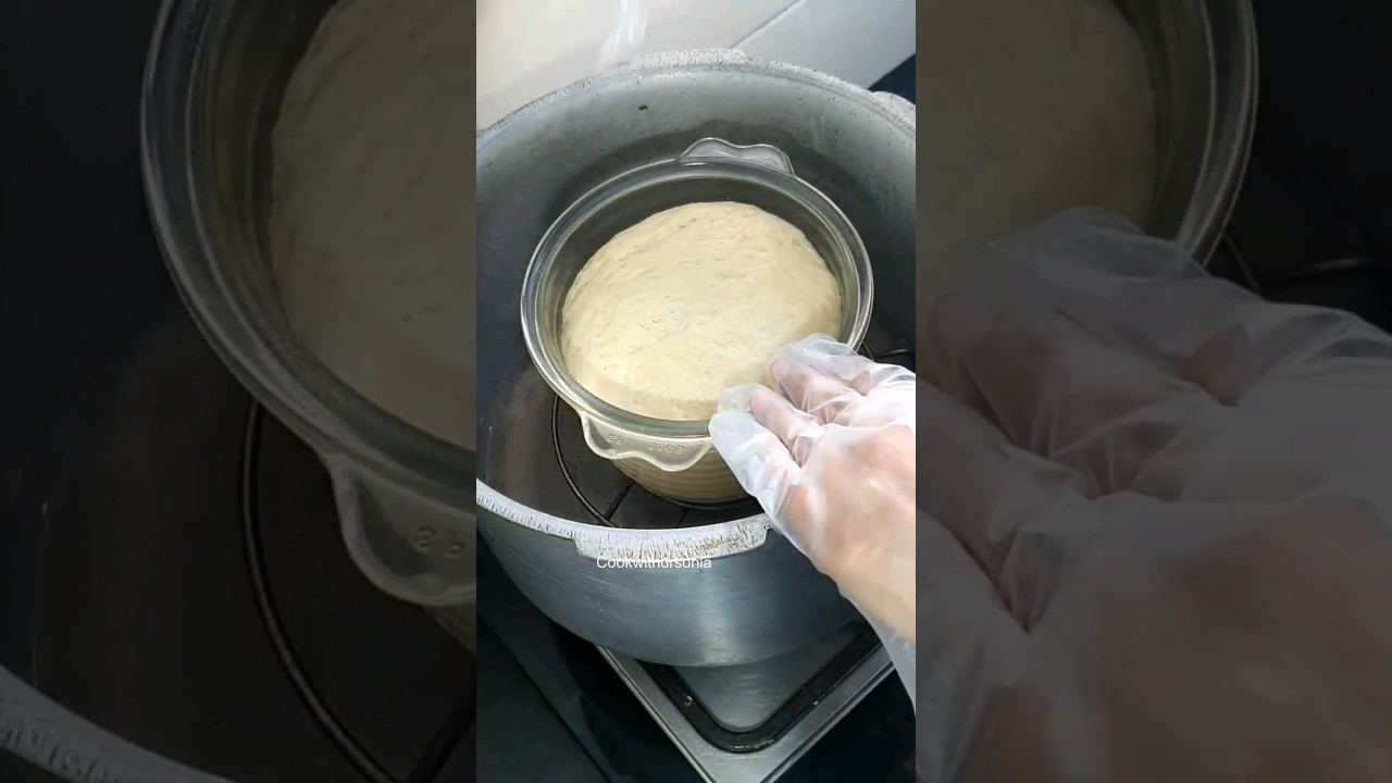 Quick Dough Rise Hack | Tips to rise dough pizza dough bread dough #shorts #ytshorts