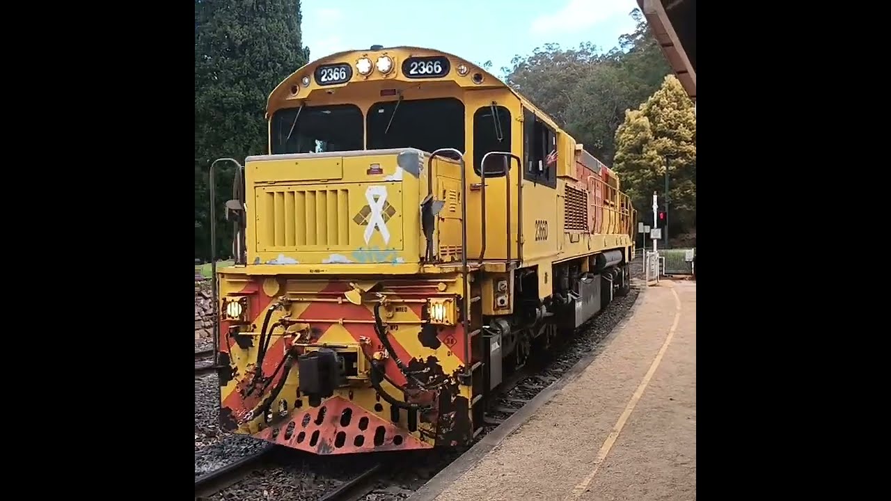 Spring Bluff Railway Station