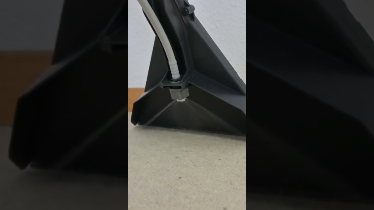 Teppich Reinigung - Spr&uuml;hextrahieren einfach erkl&auml;rt | ImmoTrainer Hauswart Wetzikon