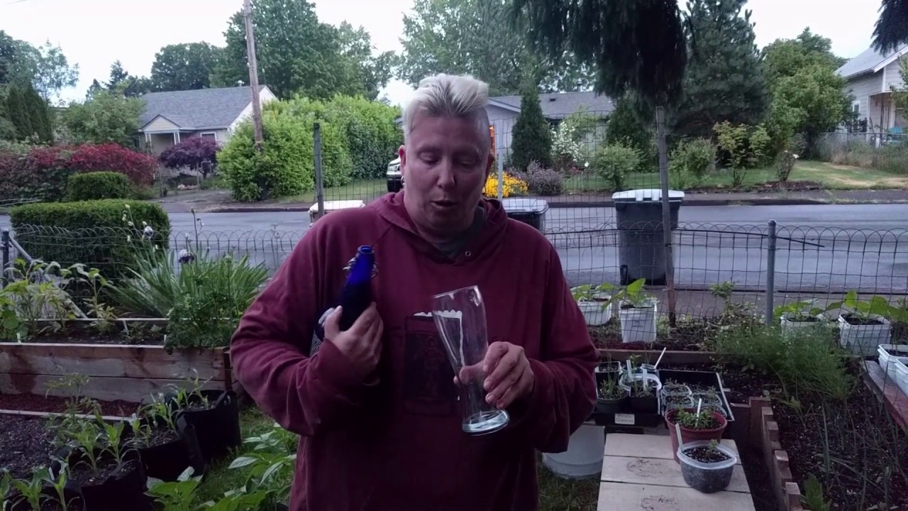 Fort George 3-way IPA