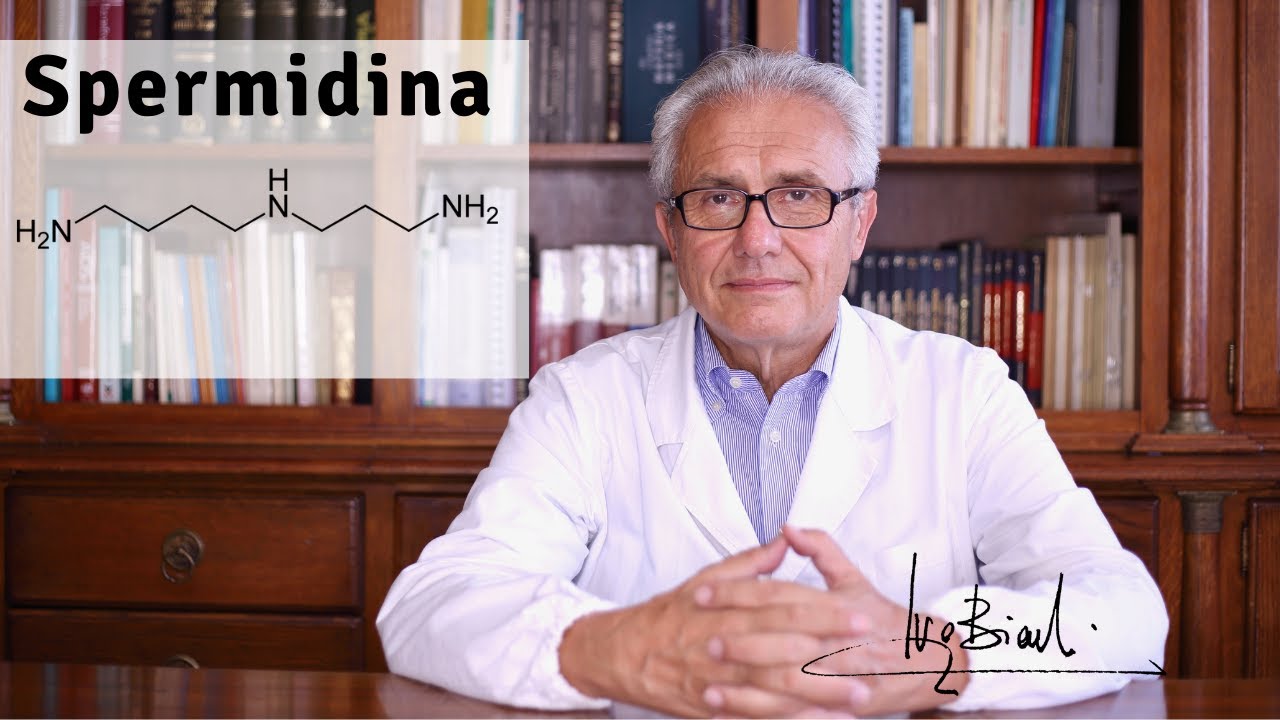 Spermidina, stimolo di vita e protezione antivirale