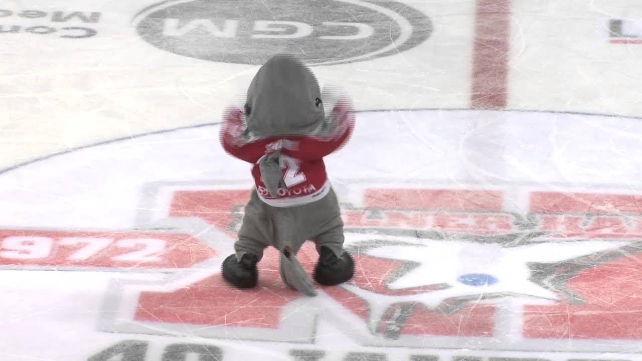 Sharky Dance - Sharky goes wild