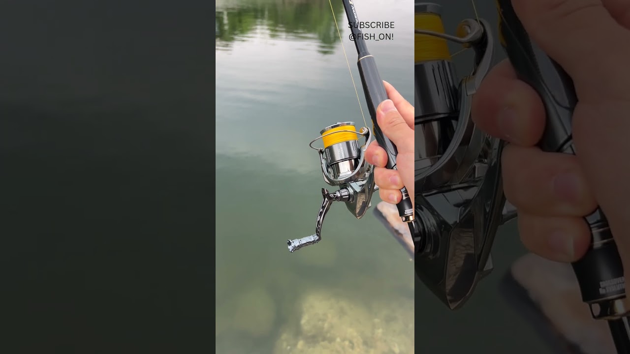 Shimano Vanford C3000S Reel | 