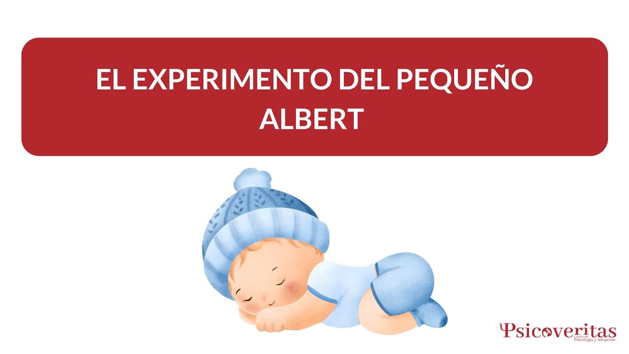 El Experimento del Pequeño Albert: Cuando el Miedo se Convierte en Aprendizaje