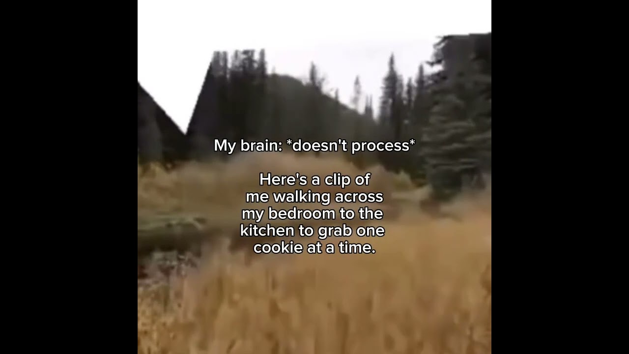 my brain never processes :3 