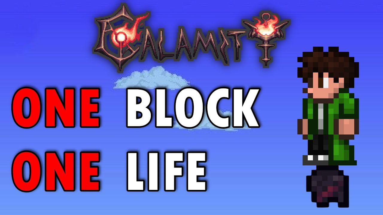 How I beat CALAMITY ONE BLOCK on HARDCORE! (Terraria)