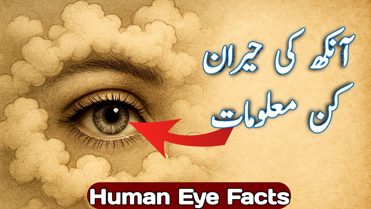 Human Eye Facts | Insani Aankh Ky Haqaiq | Informative Hashim