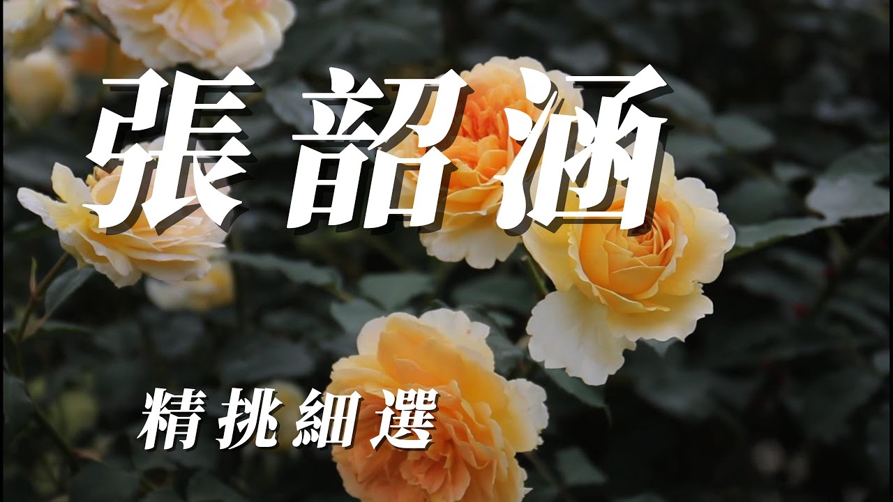 （張韶涵）精挑細選＂（希望朋友喜歡）謝謝🐶🐶🐶🐱🦁🐯