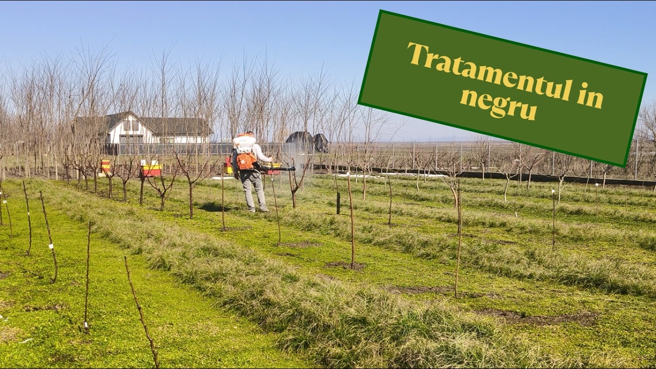 Ulei horticol + acetamiprid: baza protecției în livada tânără