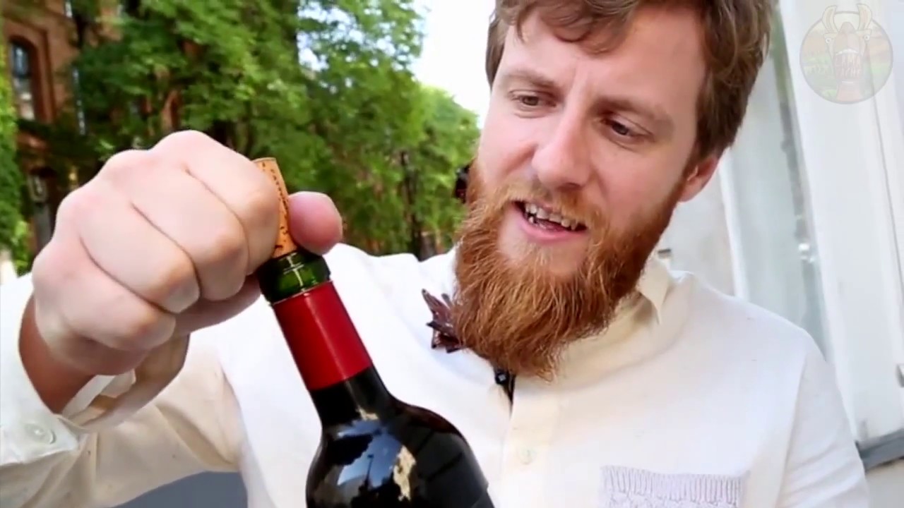 20 TOURS IMPRESSIONNANTS QUE VOUS POUVEZ FAIRE AVEC LA NOURRITURE | Lama Faché