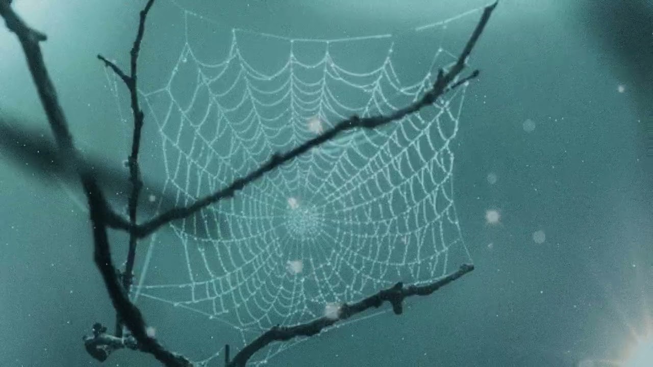 Crystal Cobwebs.mp4