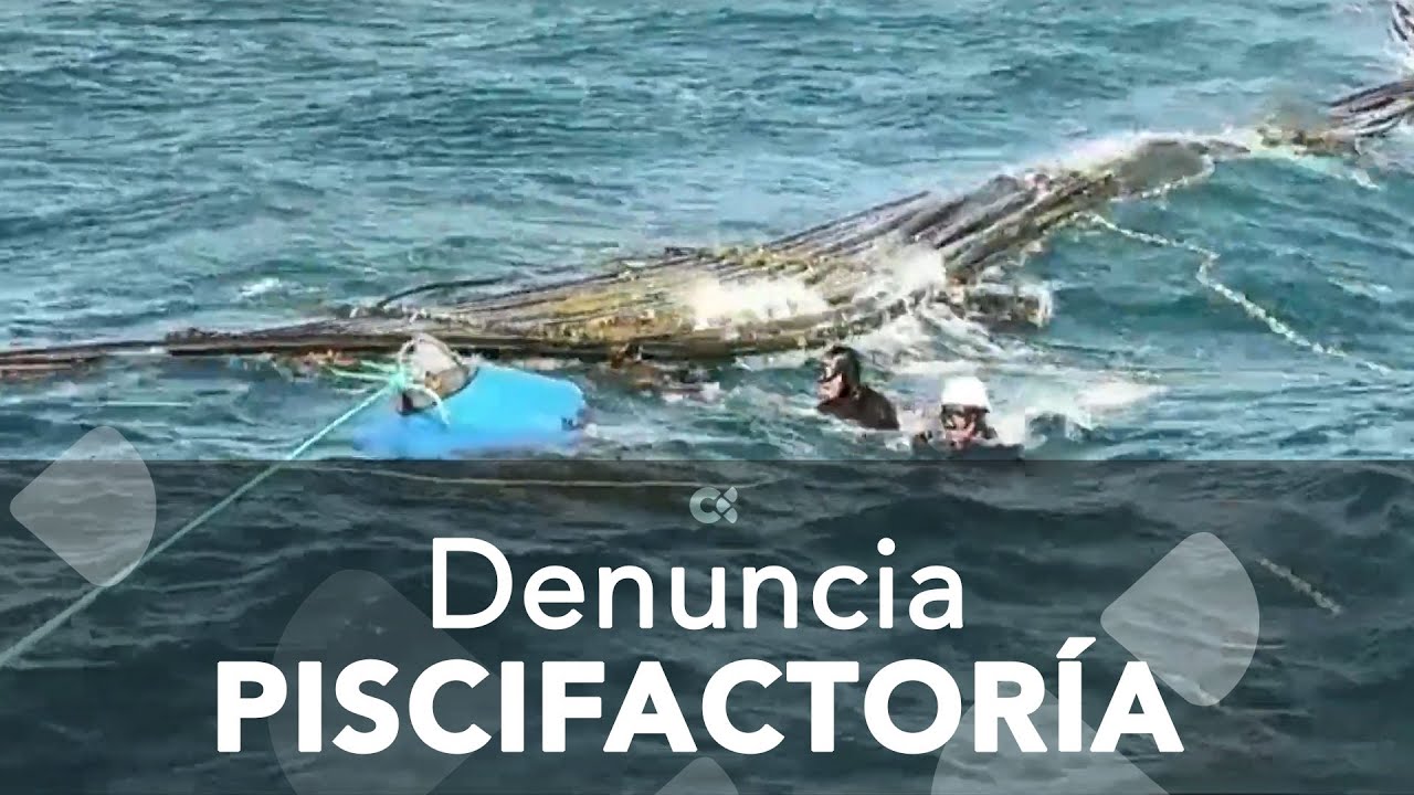 Denuncia piscifactoría