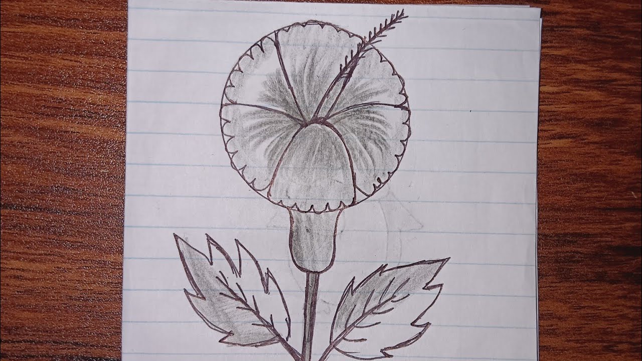 Easy Flower Drawing Tutorial | Simple Pencil Flower Sketch for Beginners