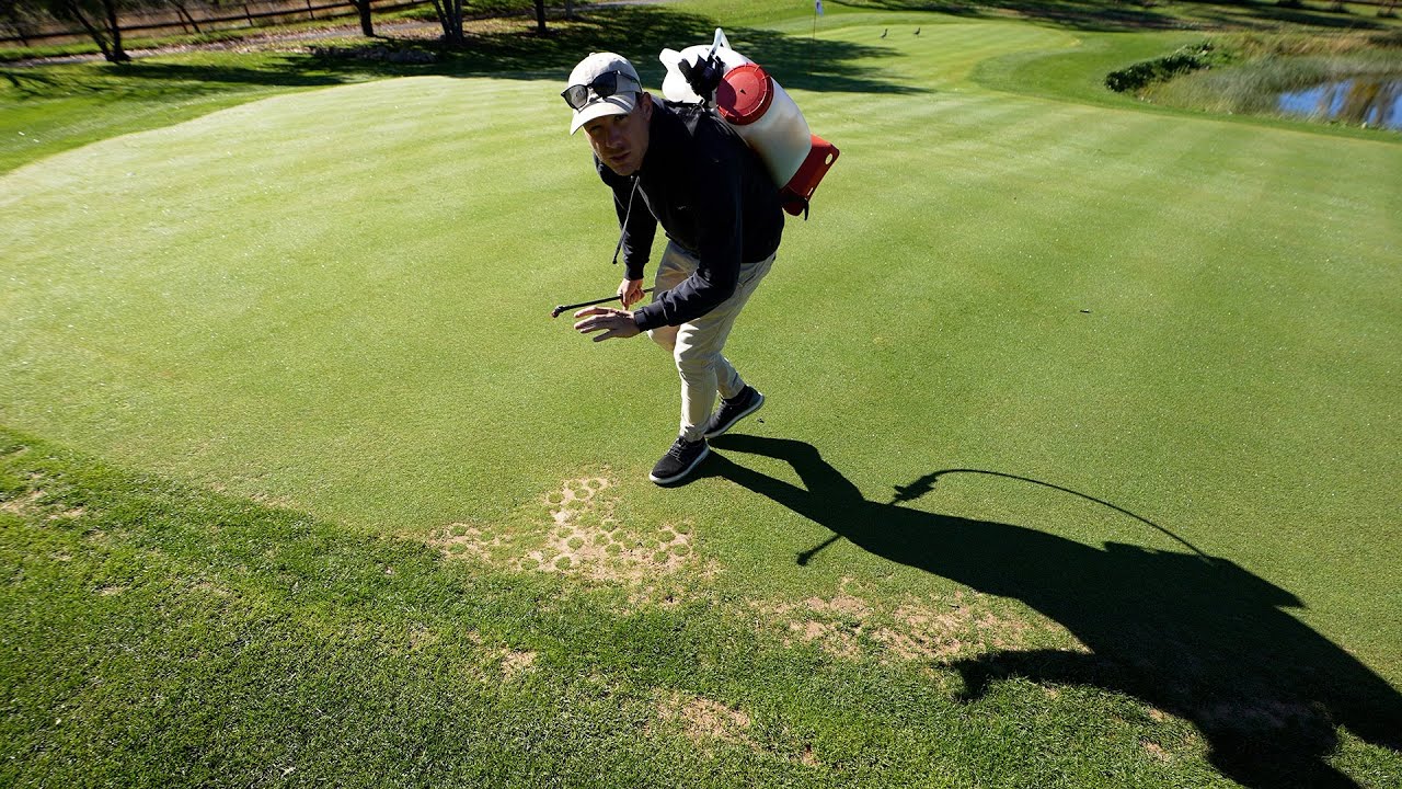 Quickly Repair Bare Spots on Your Lawn // Urea Application