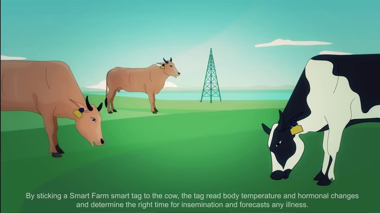 Smart Farm