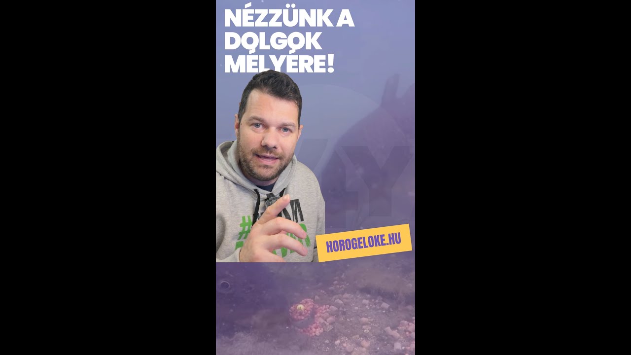 Nézzünk a dolgok mélyére