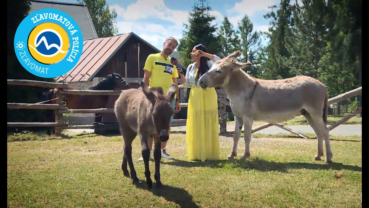 Zľavomatová polícia #Hotel Hubert**** Vital Resort