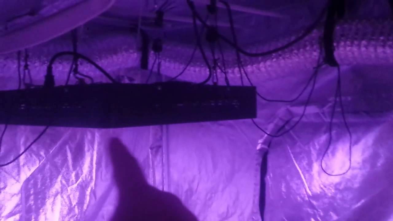 Mars 1600 & Three 144x3 Reflectors