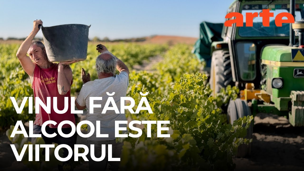 Vinul fără alcool poate salva viticultura? | ARTE.tv Documentare