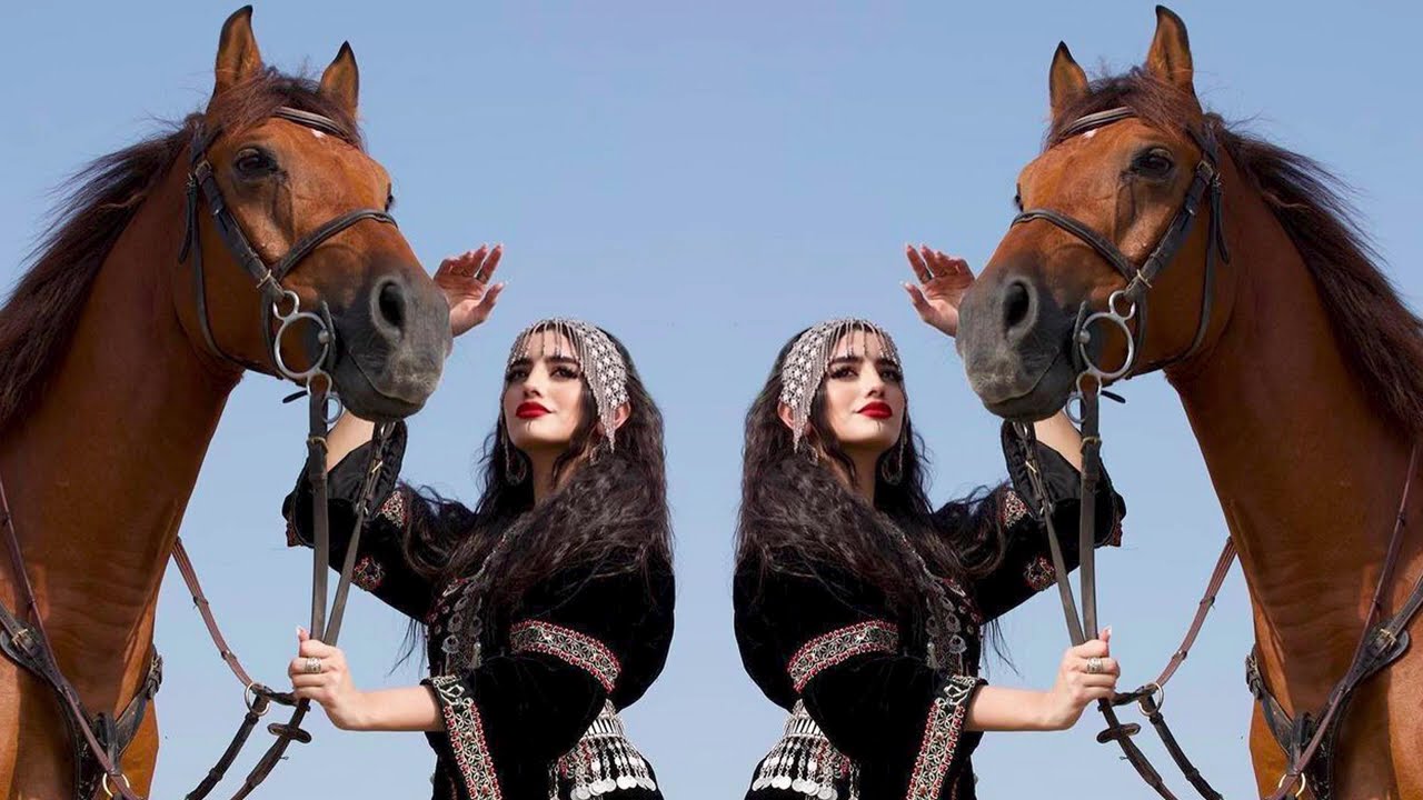 Arabic Remix  (TREND ARABIC REMIX MUSIC 2025)