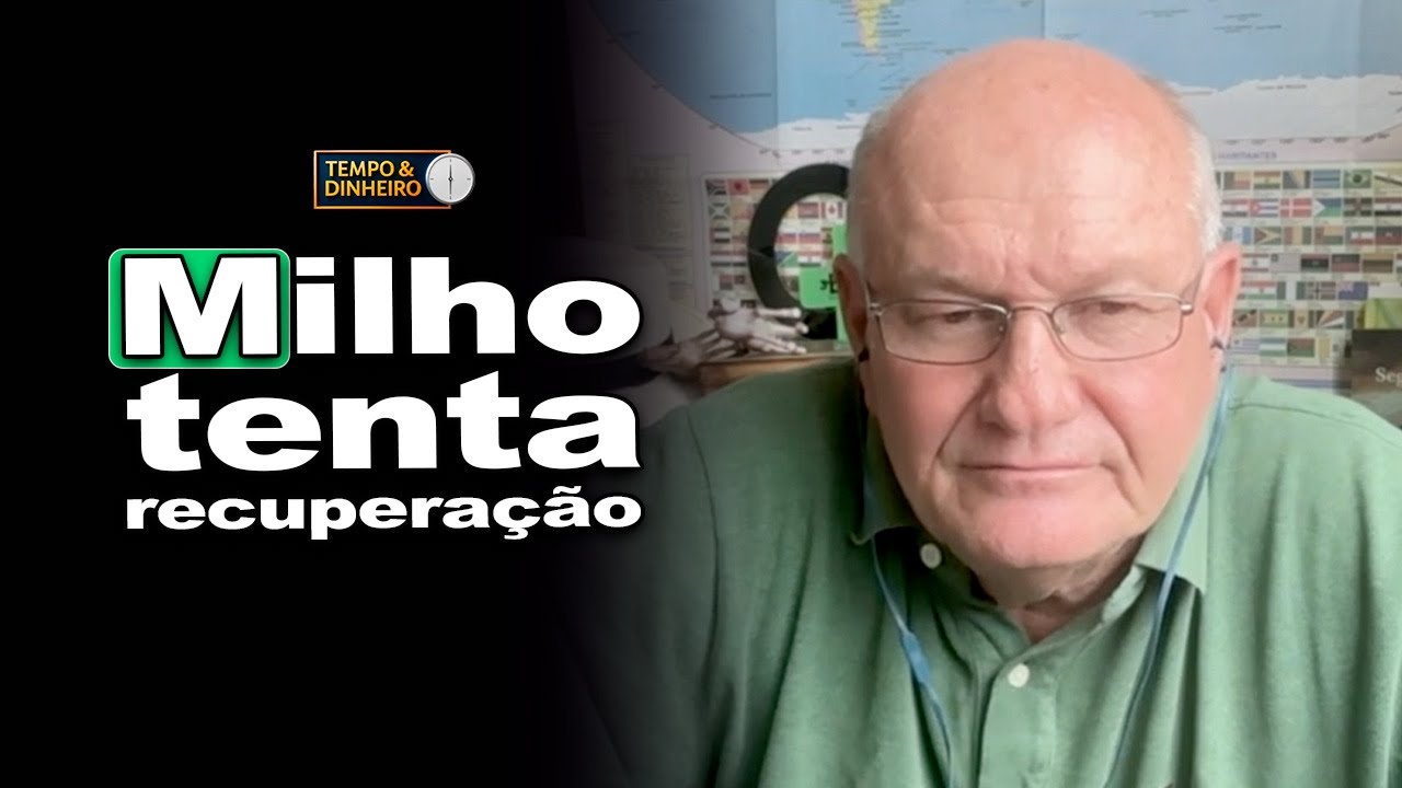Milho forma suporte e abre espaço para leve alta no mercado