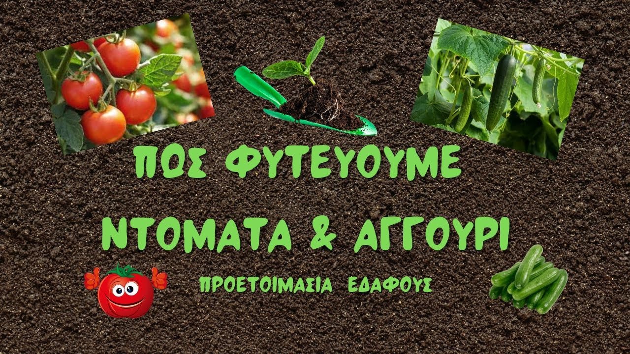 ΠΩΣ ΦΥΤΕΥΟΥΜΕ ΝΤΟΜΑΤΑ & ΑΓΓΟΥΡΙ  -  ΠΡΟΕΤΟΙΜΑΣΙΑ ΕΔΑΦΟΥΣ