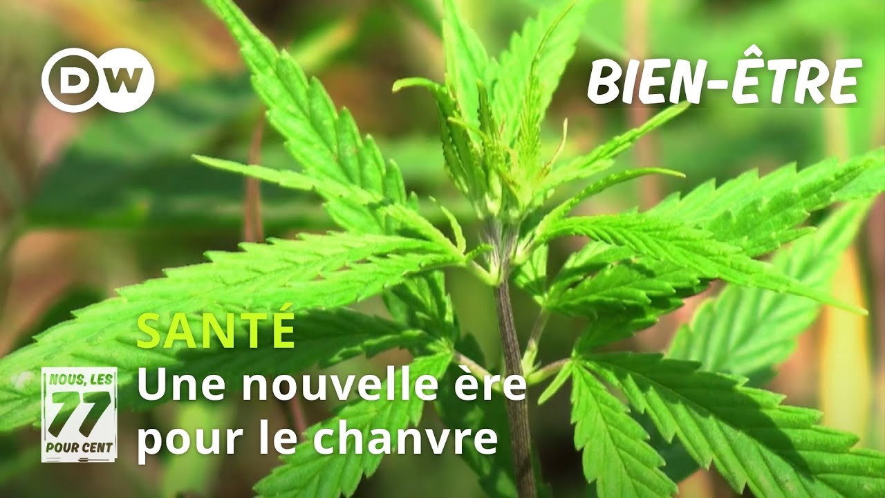 Une nouvelle &egrave;re pour le chanvre