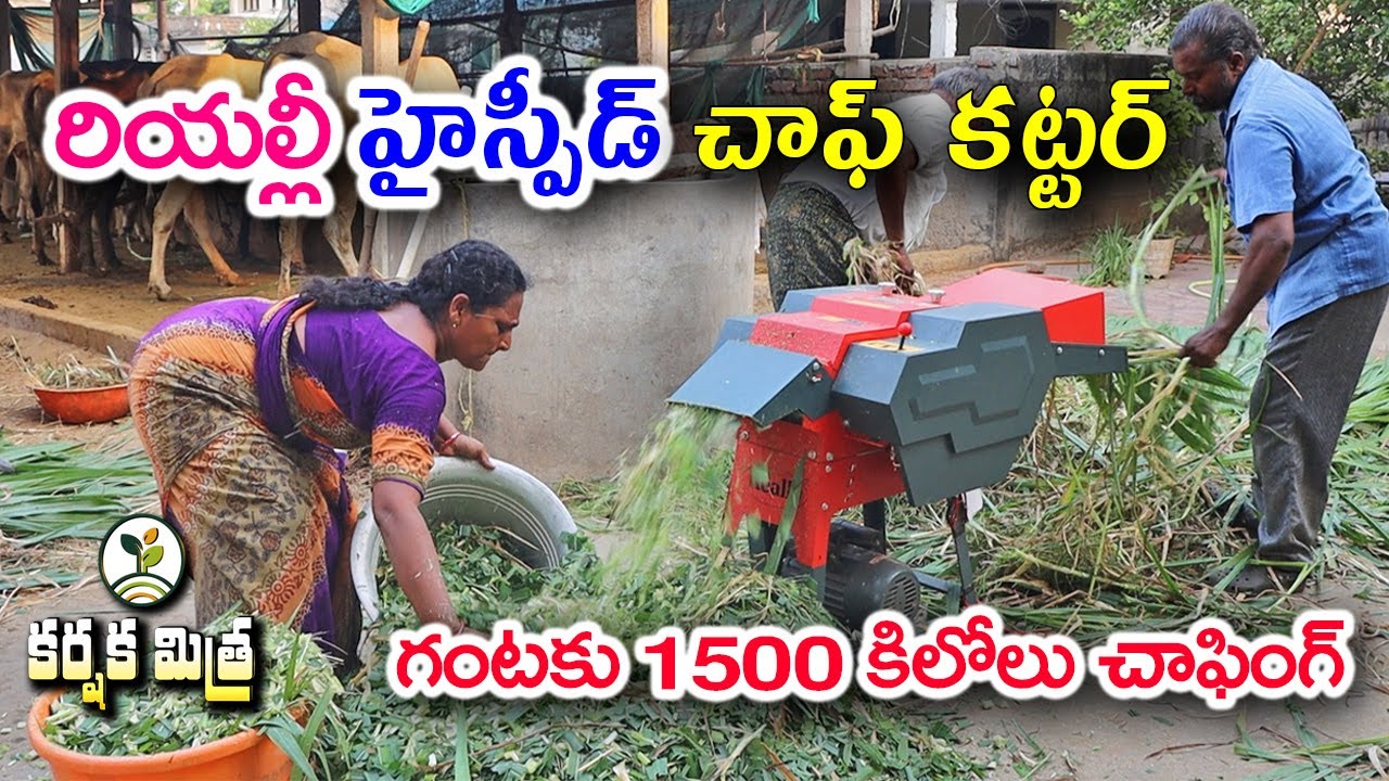 నిమిషాల్లో పచ్చిగడ్డి చాఫింగ్ || High Speed Heavy Duty Chaff Cutter Machine || Karshaka Mitra