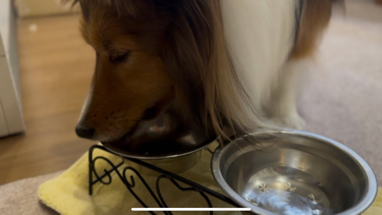 ごはんに懸ける想い