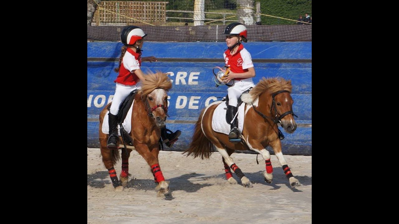 Horse ball Lamotte 2015 Poussins Nancy Rives de Meurthe Haut-Bois